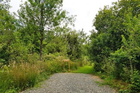 undefined, Carminow Wood (8 acres) - Ashwater, Near Holsworthy Devon  EX21
