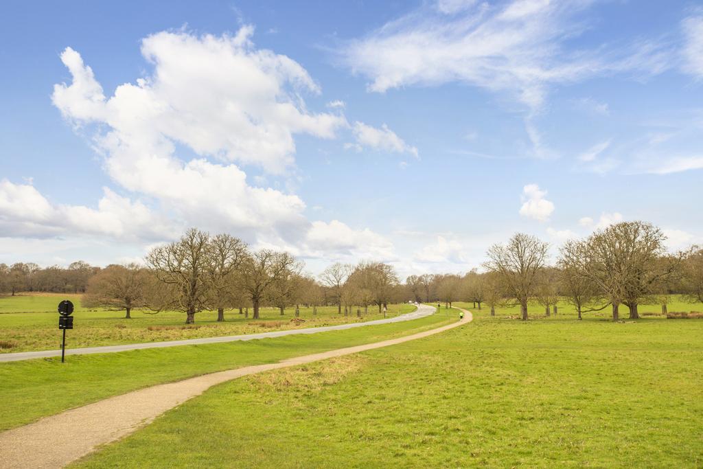 Grounds
