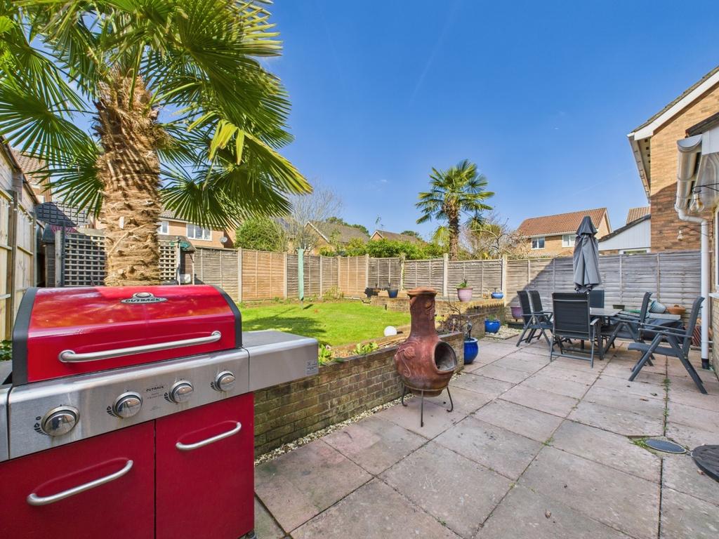 Back Garden