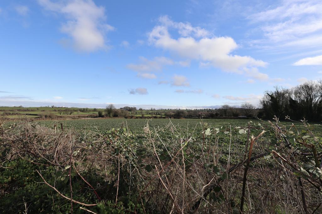 Open farmland