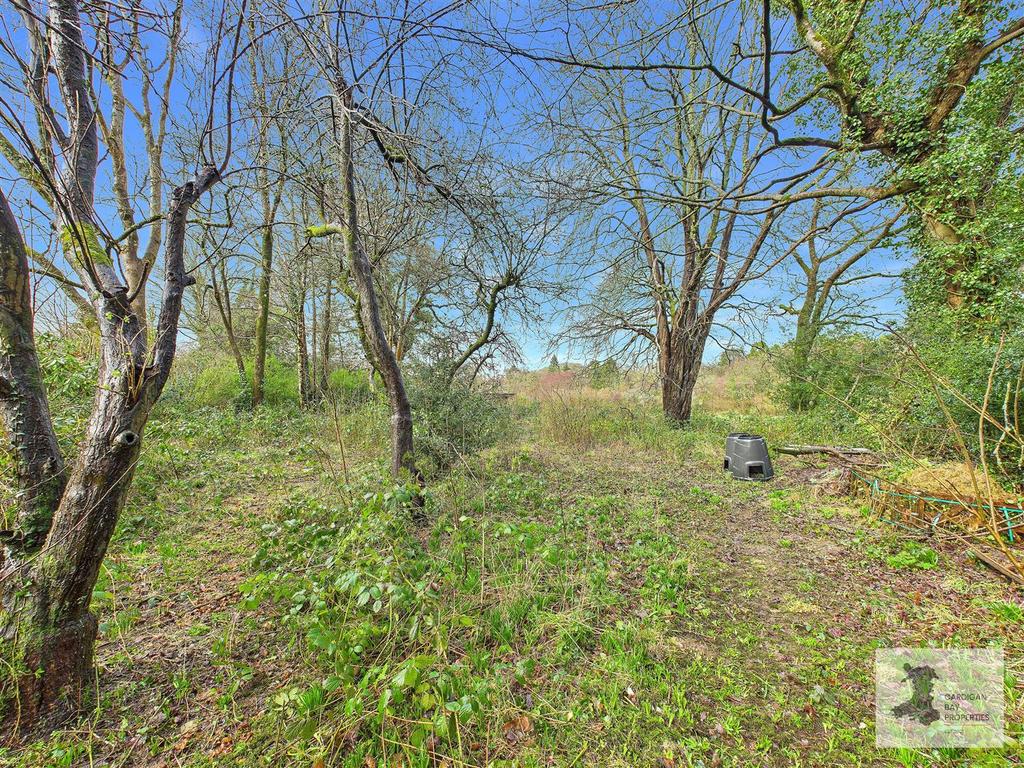 Orchard area