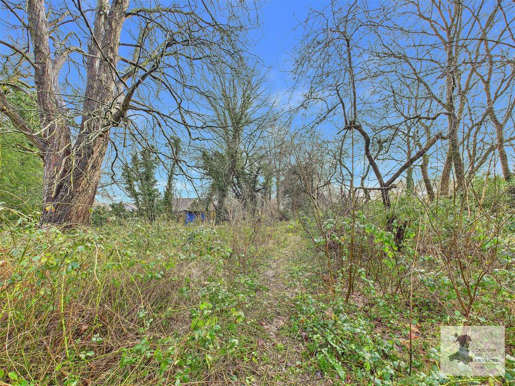 Orchard area