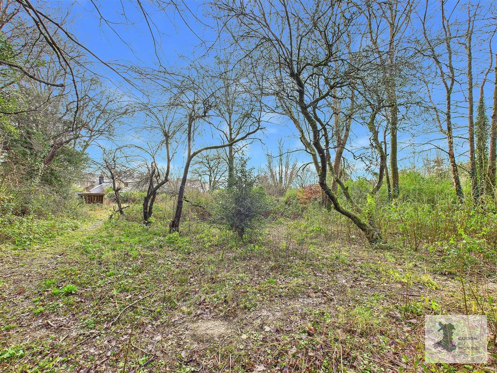 Orchard area