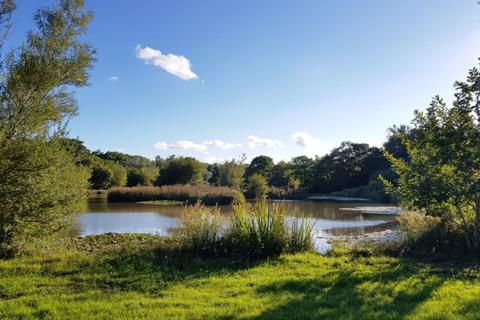 undefined, Bradaford Wood  (over 3 acres), Ashwater, Near Holsworthy, Devon EX21