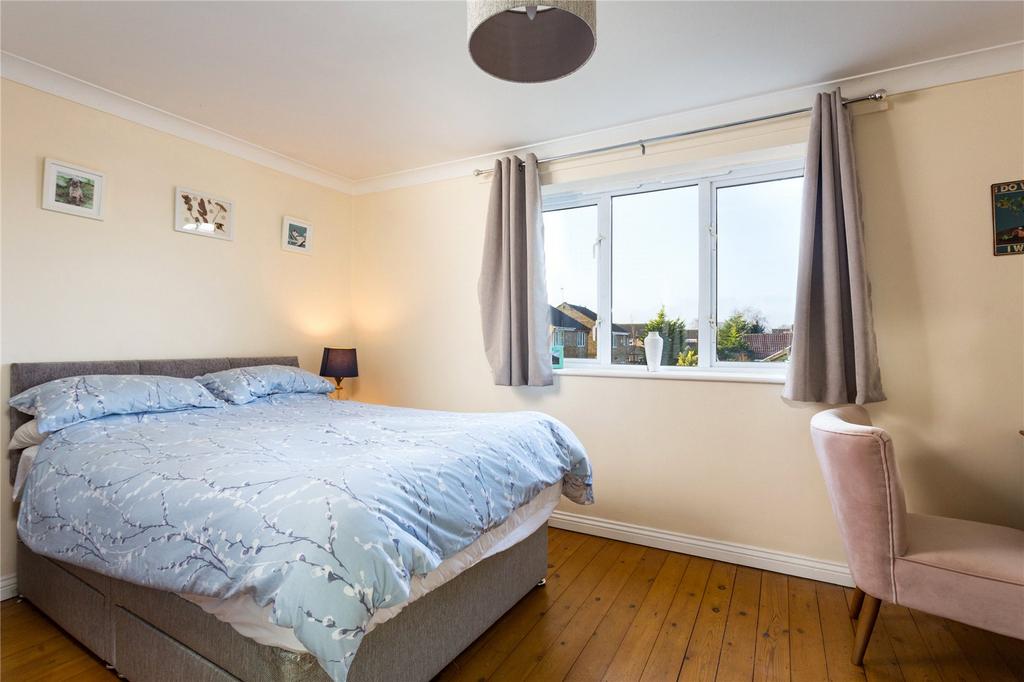 Photos