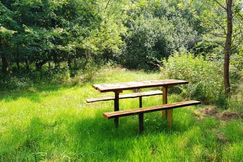 undefined, Ruby Wood (2 and a third acres), Ashwater, Near Holsworthy, Devon EX21