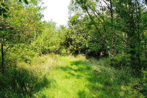 undefined, Ruby Wood (2 and a third acres), Ashwater, Near Holsworthy, Devon EX21
