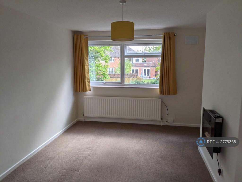 Lounge Window And Fireplace