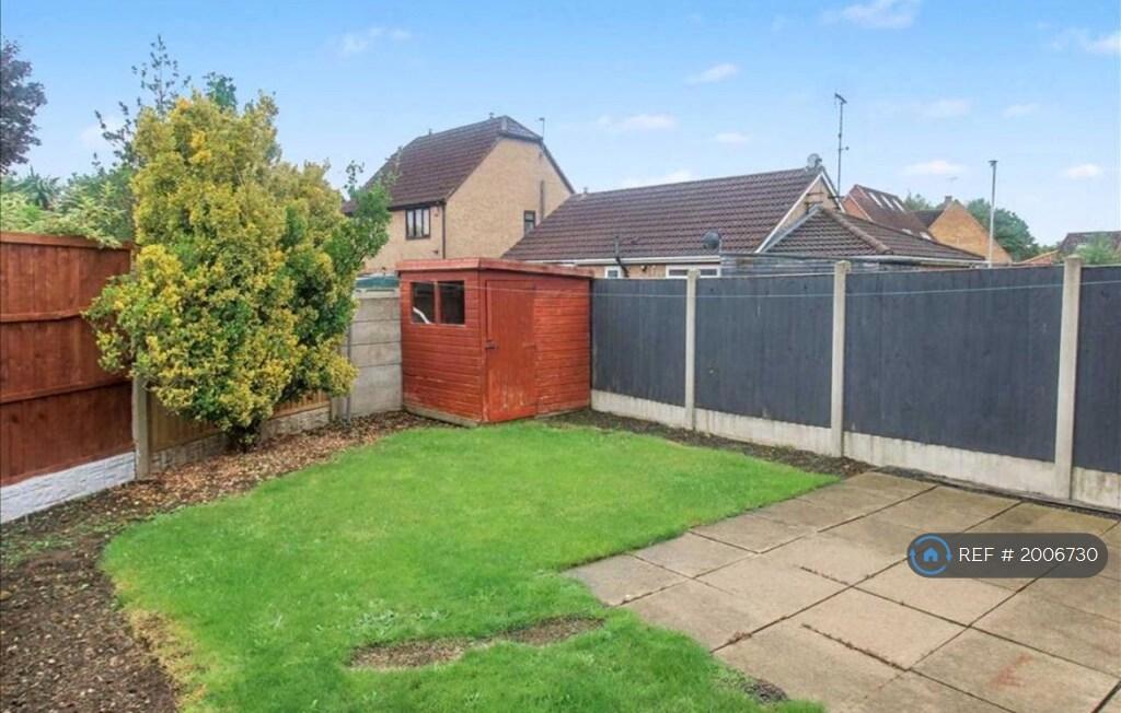 Back Garden