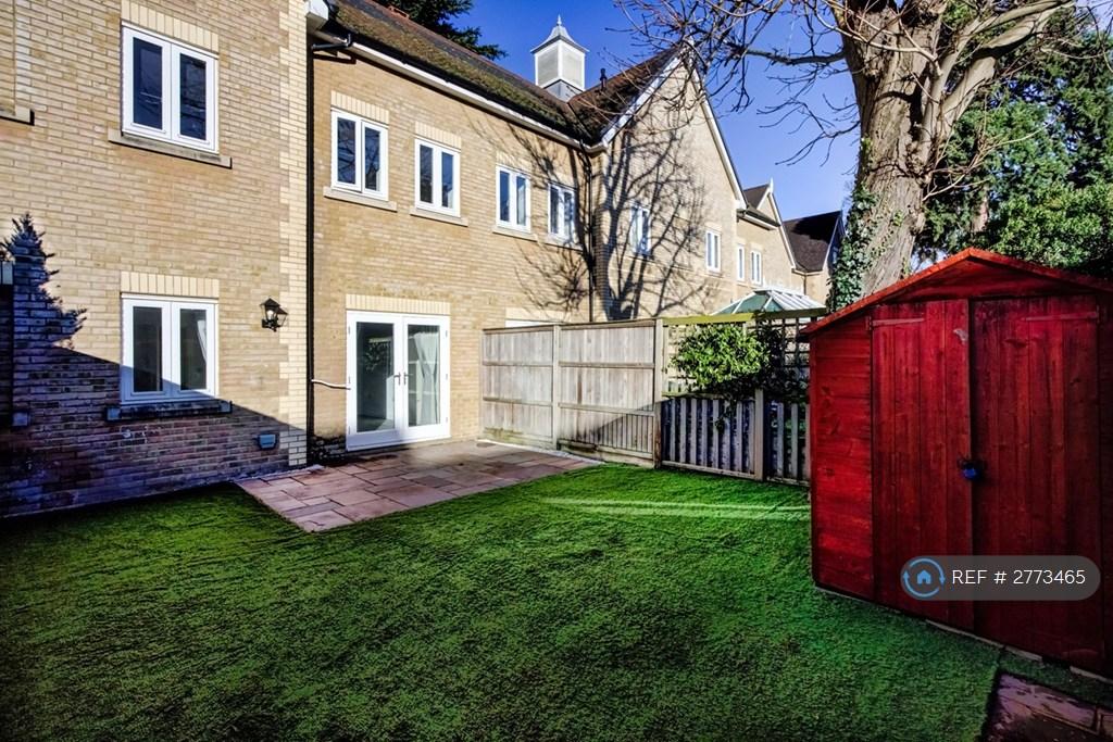 Back Garden