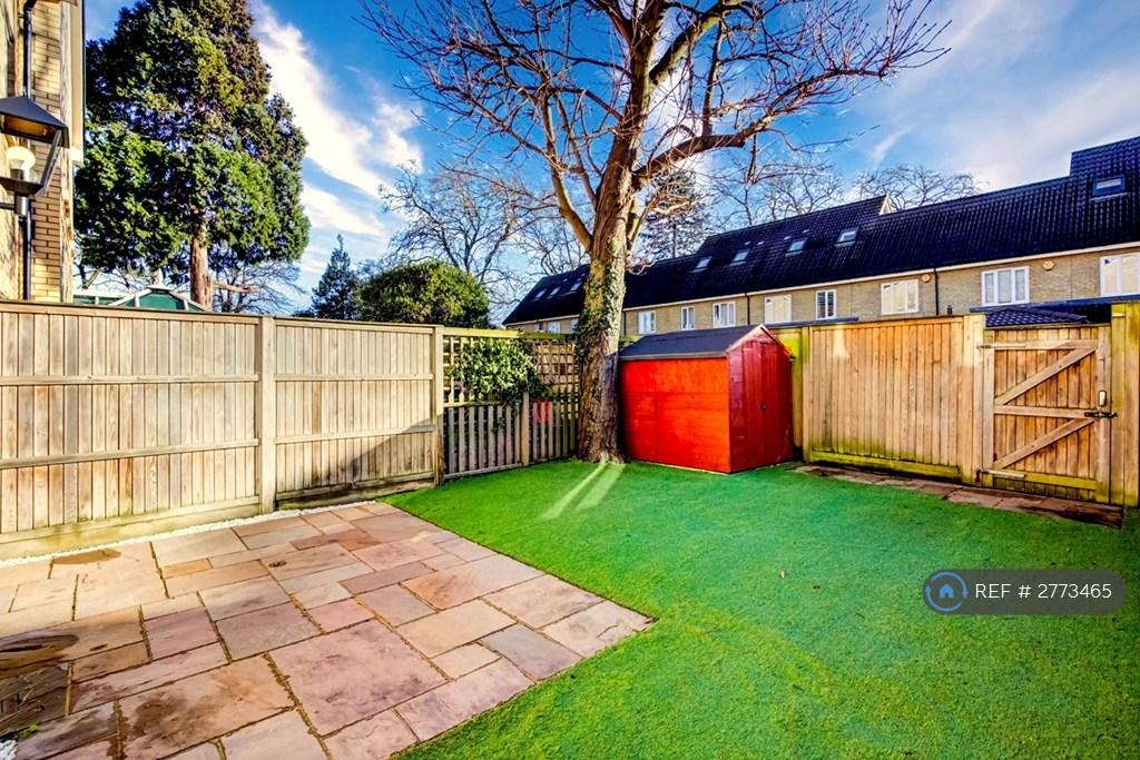 Back Garden