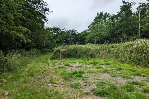 undefined, Sandymoor Cross Wood (nearly 4 acres), Ashwater, Near Holsworthy, Devon EX21