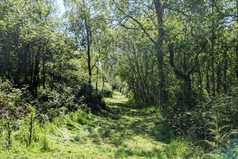 undefined, Sandymoor Cross Wood (nearly 4 acres), Ashwater, Near Holsworthy, Devon EX21