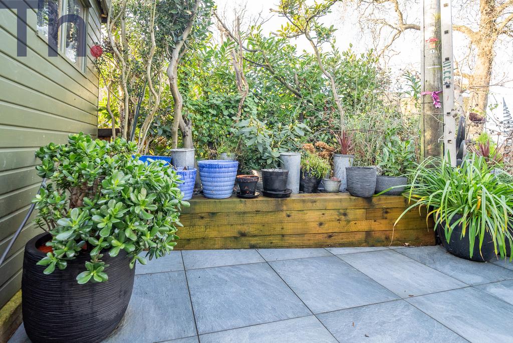 Courtyard Garden with Shrubs