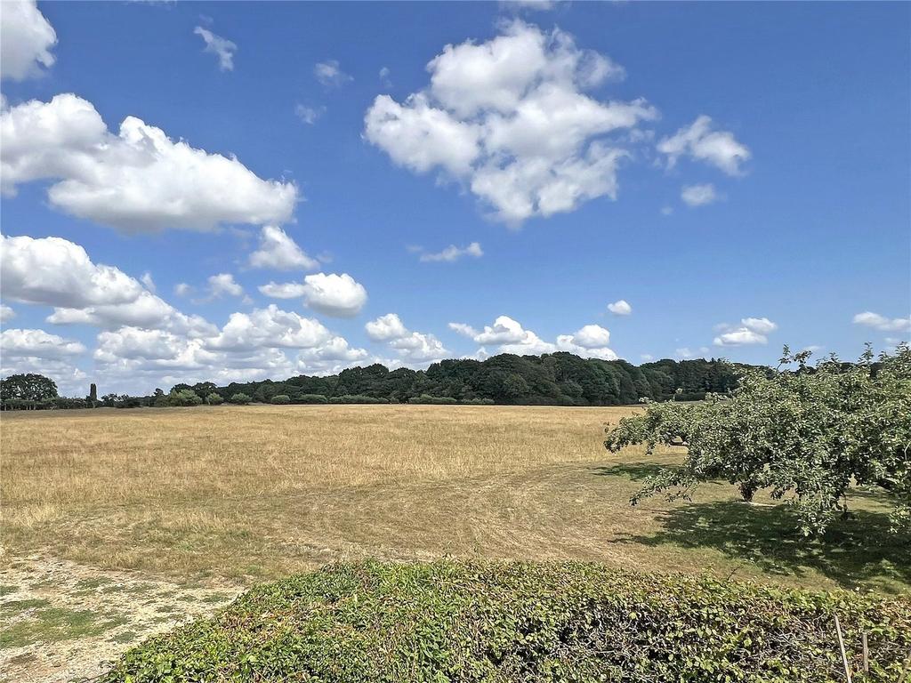 Land and View
