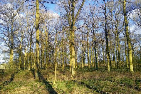 undefined, Deepdale Corner, near Sandy, Bedfordshire SG19