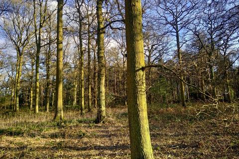 undefined, Deepdale Corner, near Sandy, Bedfordshire SG19