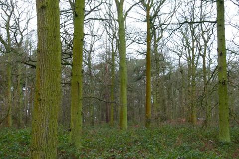 undefined, Deepdale Corner, near Sandy, Bedfordshire SG19