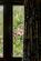 Rozel, Steep, Hampshire photo 5