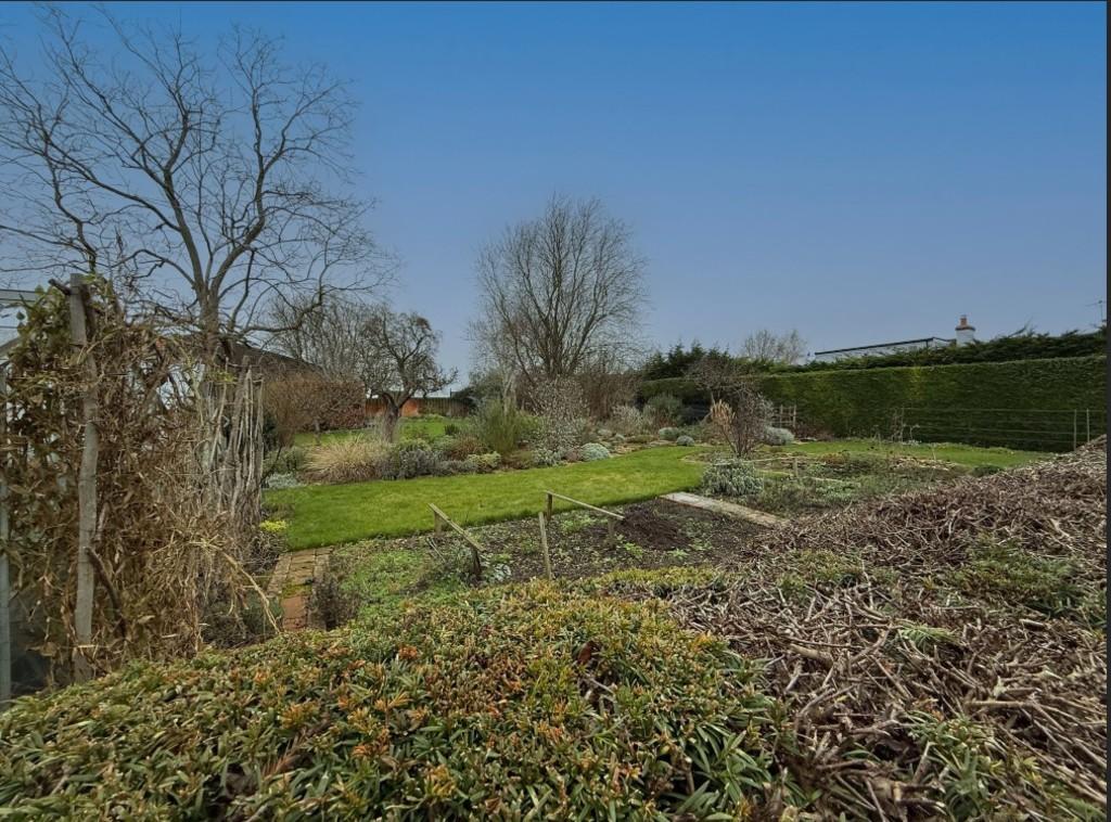 Plot 6