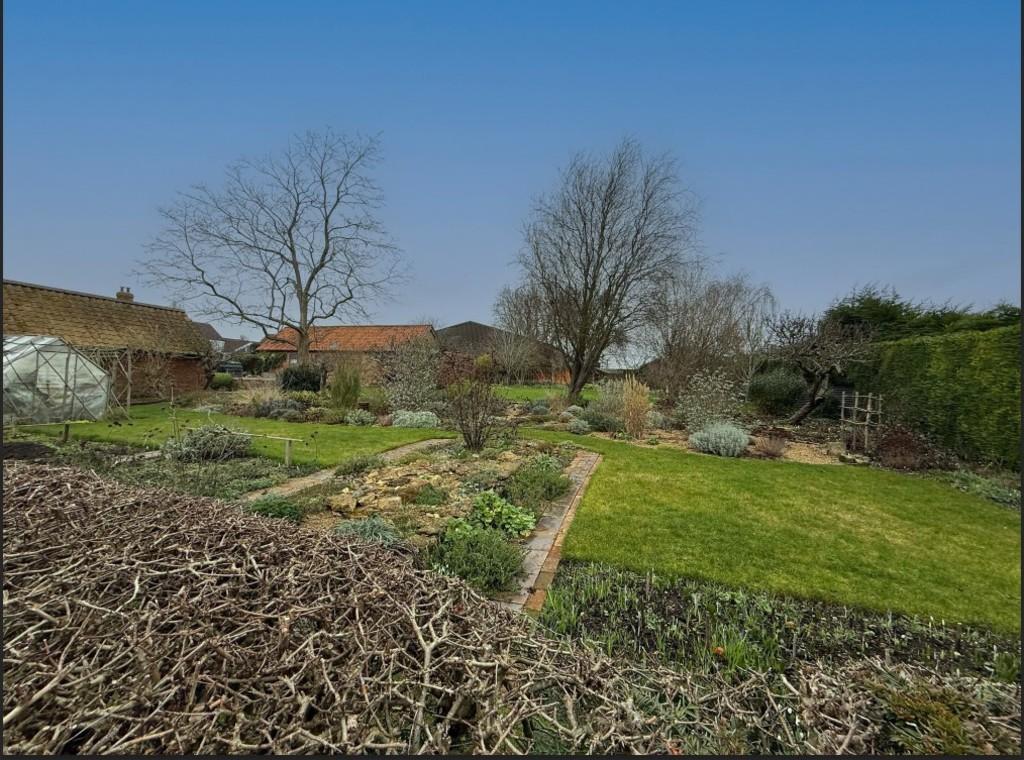 Plot 7