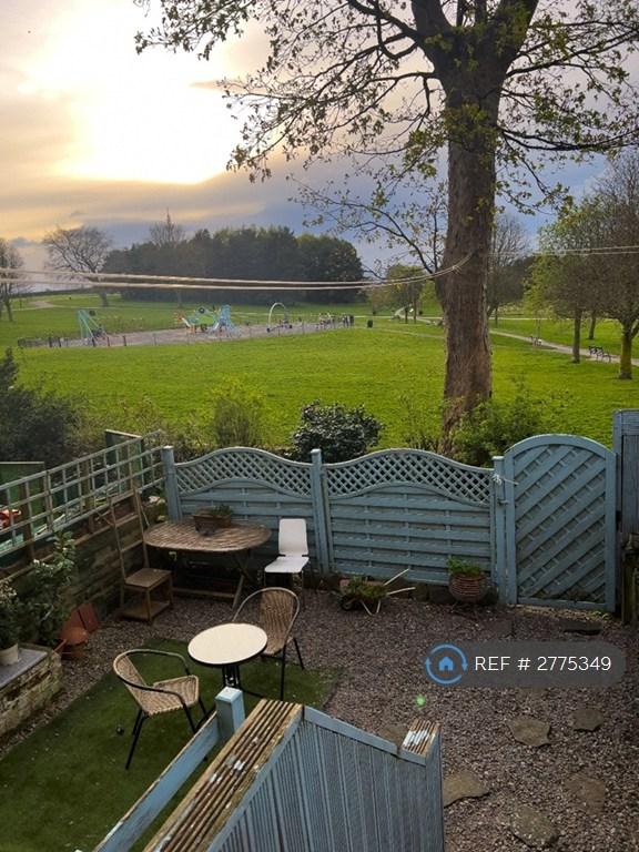 Back Garden