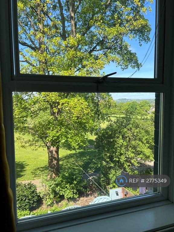Room 3 View