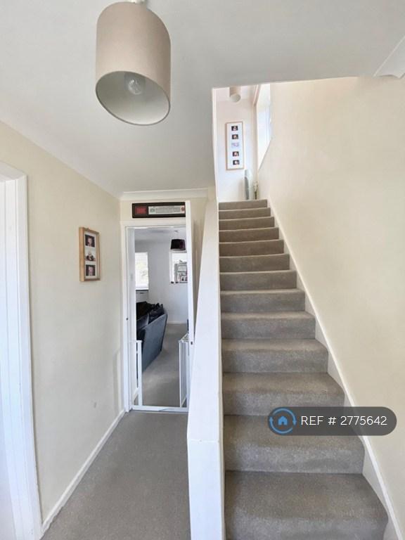 Hallway With Storage Understairs