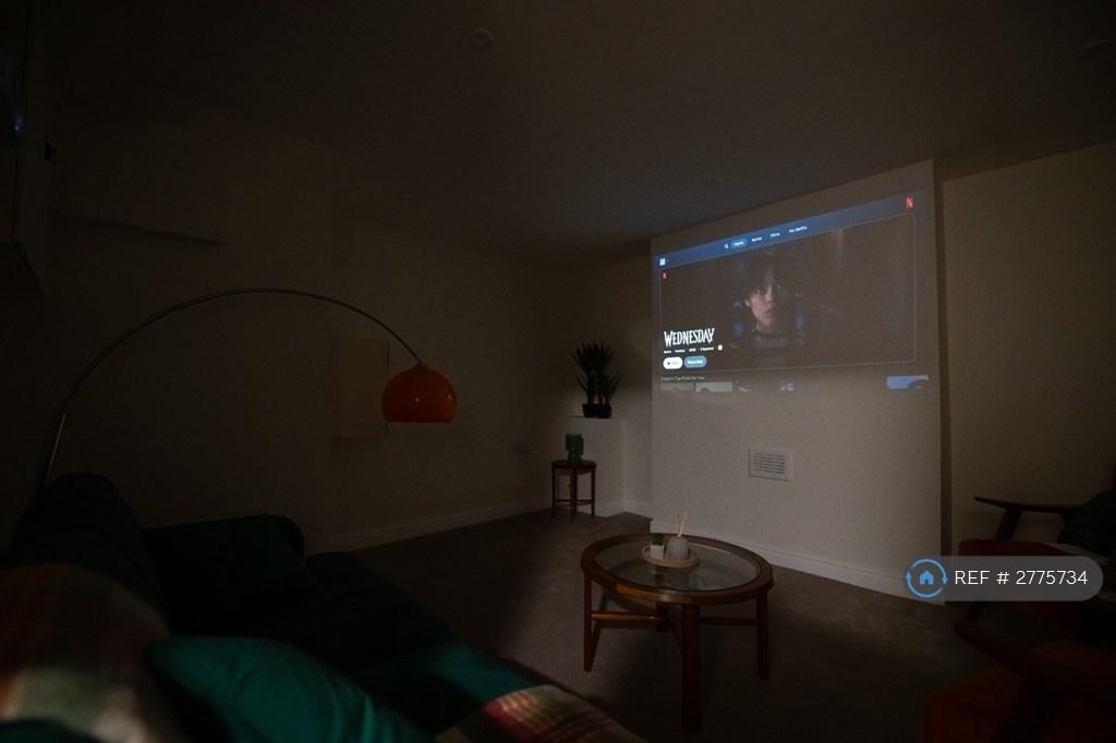 Lounge/Cinema Room