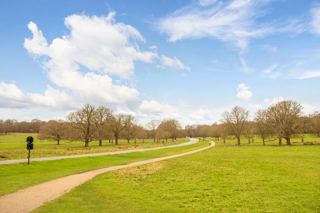 Grounds