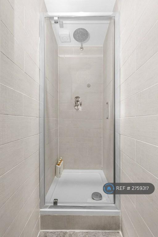 Shower In Bedrrom 1