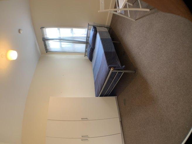 Pine-road-nw2-6sa-1039453