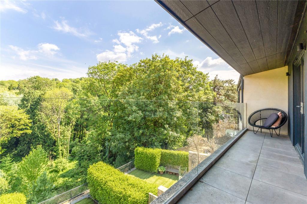 Terrace View