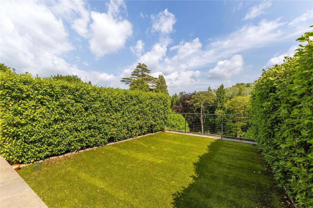 Lawn Area