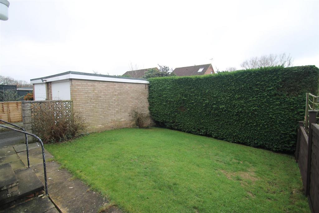Back garden.JPG