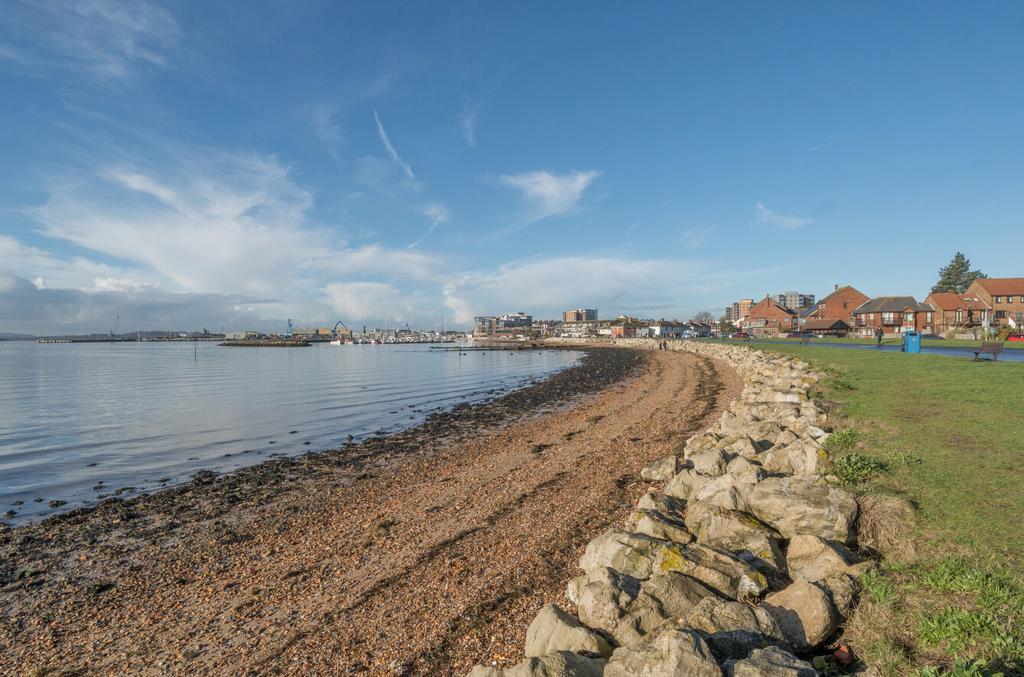 Baiter/Harbour