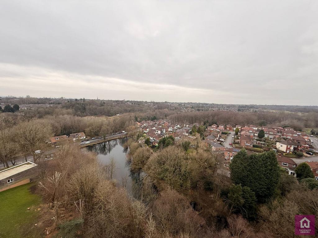 Roof Terrace View