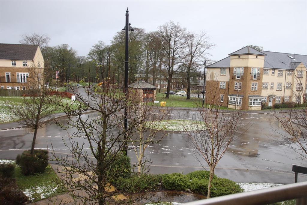 Img 1475.jpg