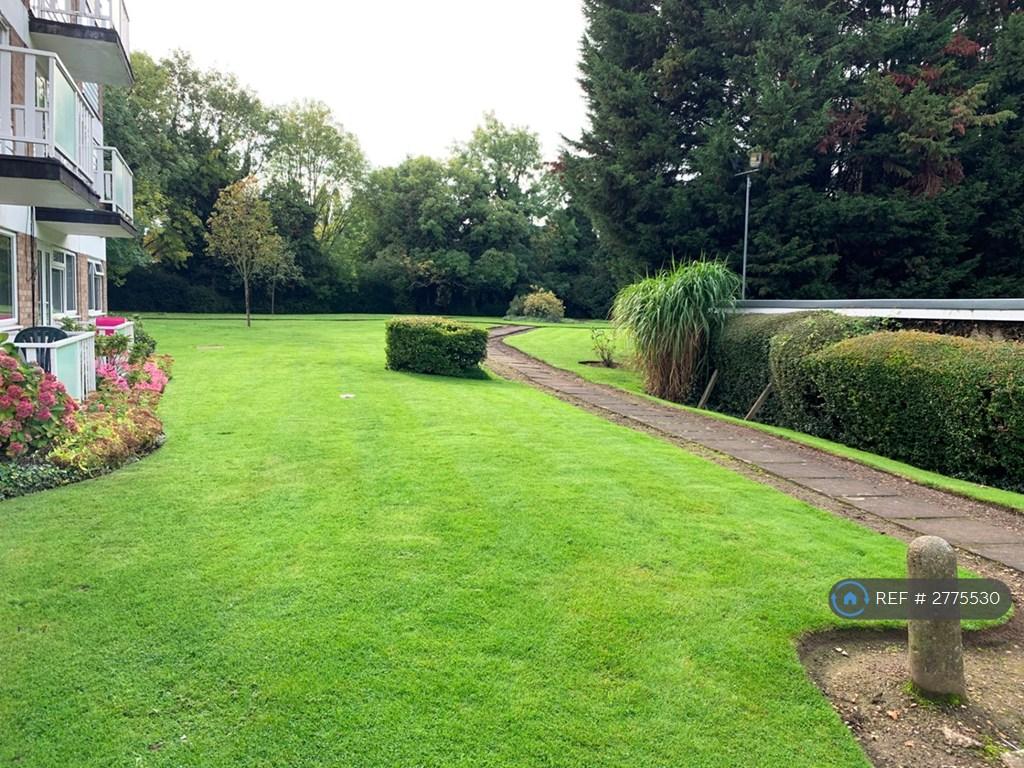 Communal Garden