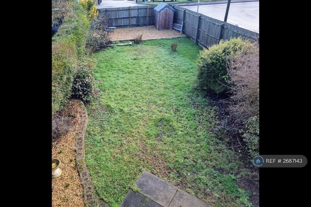Back Garden