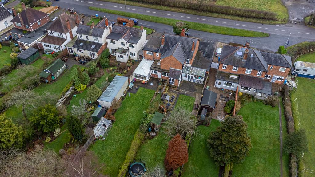 Plot View