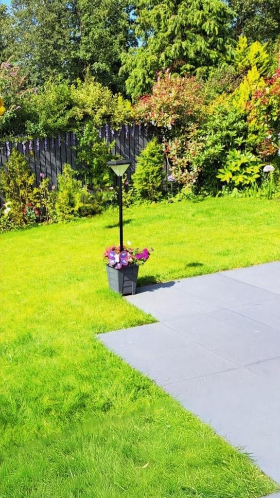 Garden - Client