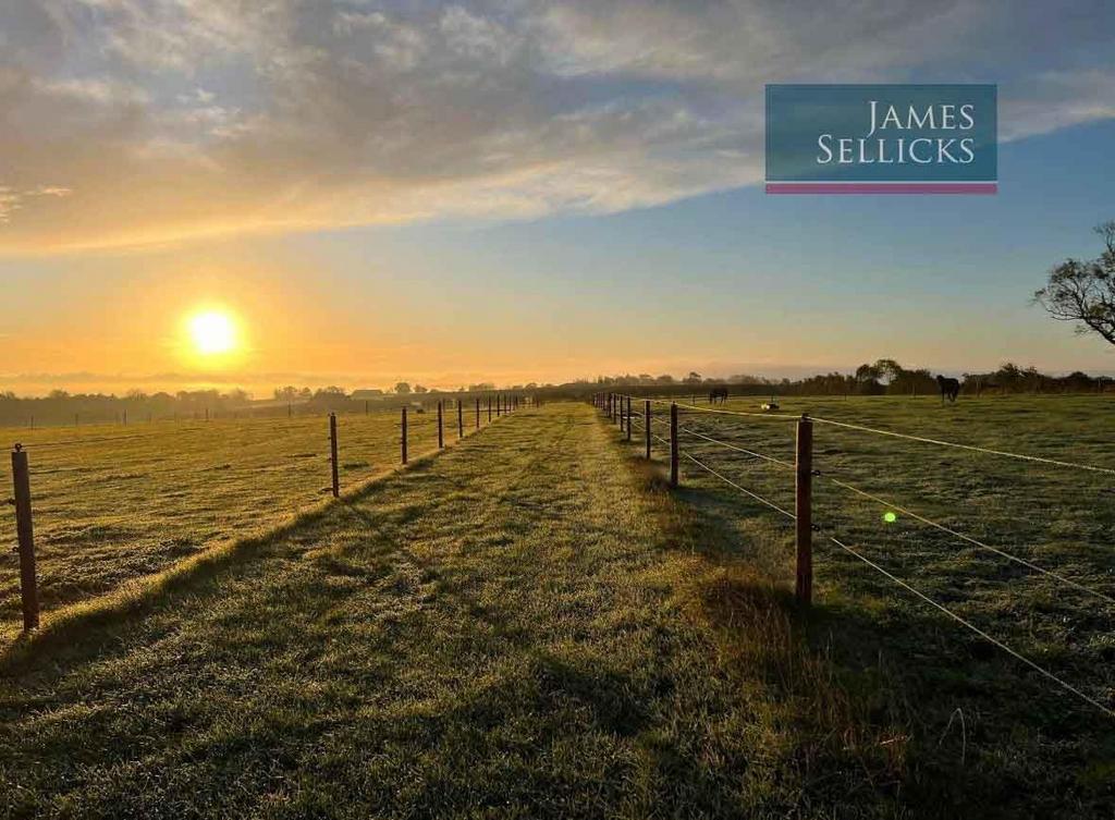 Spinney View Farm