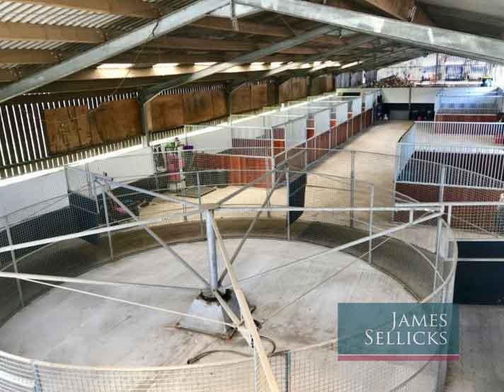 Spinney View Farm