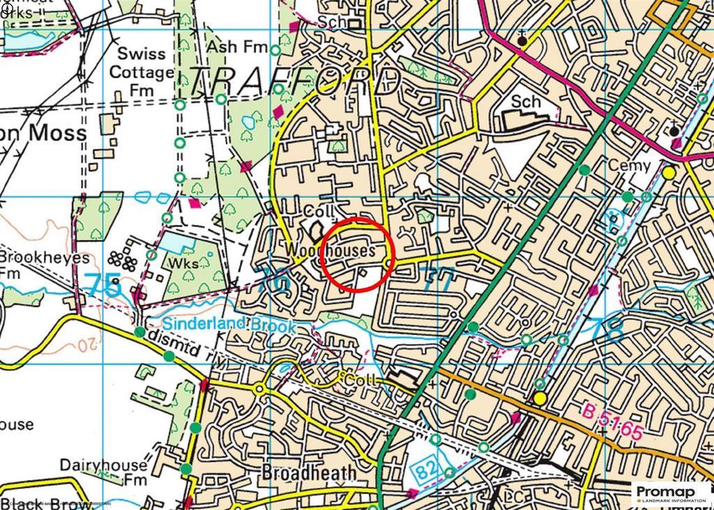 Town Plan
