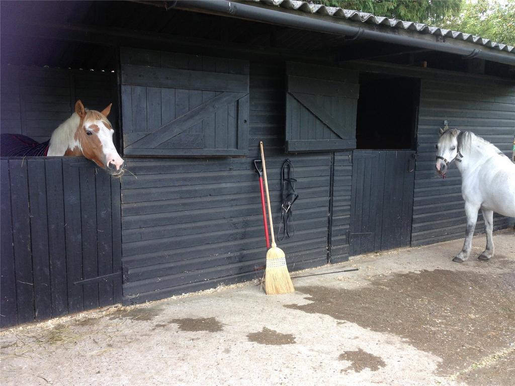 Stables