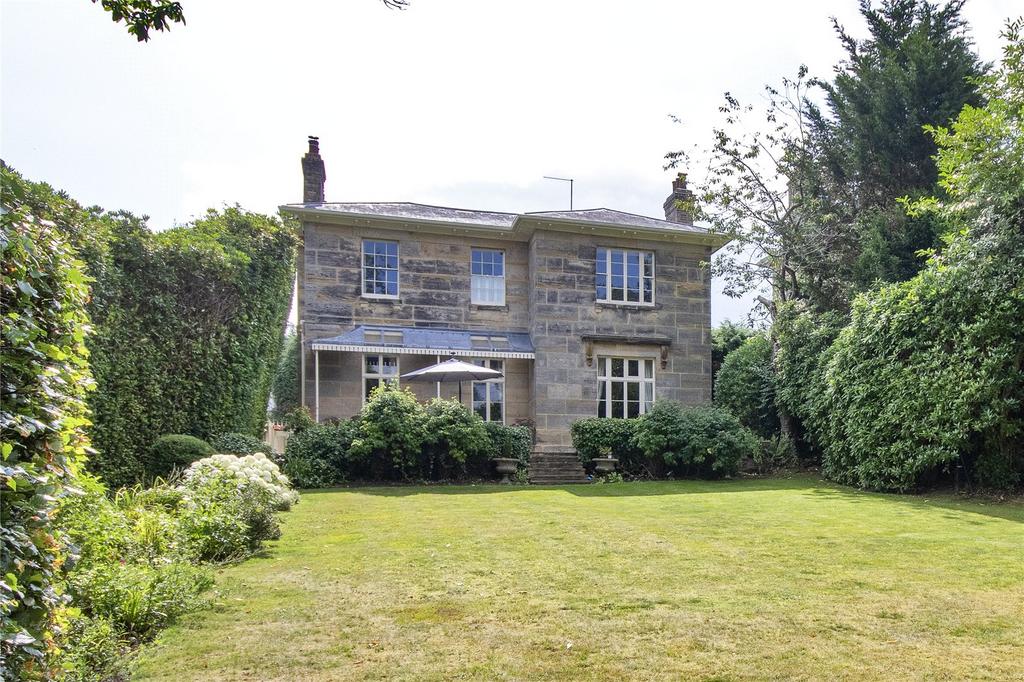Rear Elevation