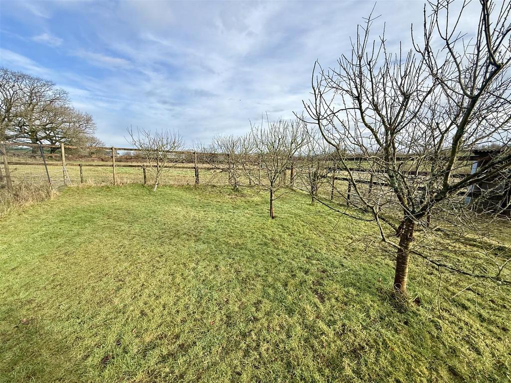 Orchard