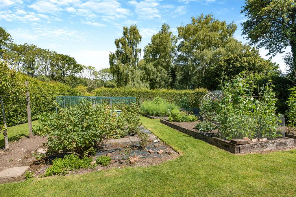 Vegetable Garden