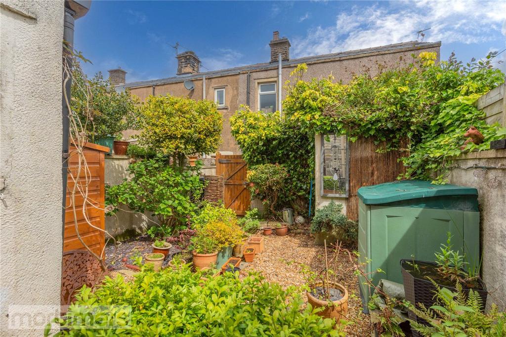 Rear Yard
